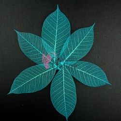 Frunze naturale uscate 4 bucati, Turcoaz